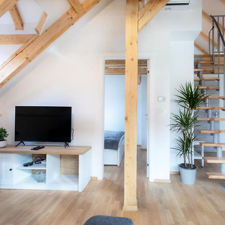 Bright & Spacious Loft In The Heart Of Old Town Ljubljana Dış mekan fotoğraf