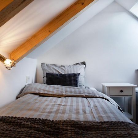 Bright & Spacious Loft In The Heart Of Old Town Ljubljana Dış mekan fotoğraf