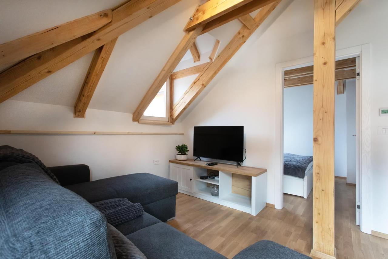 Bright & Spacious Loft In The Heart Of Old Town Ljubljana Dış mekan fotoğraf