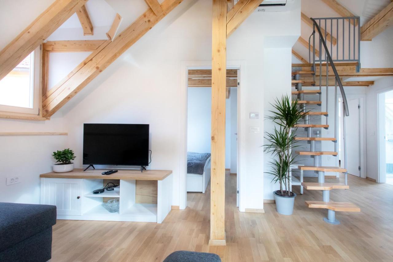 Bright & Spacious Loft In The Heart Of Old Town Ljubljana Dış mekan fotoğraf