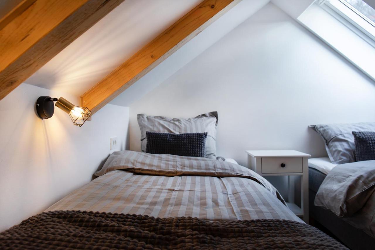 Bright & Spacious Loft In The Heart Of Old Town Ljubljana Dış mekan fotoğraf